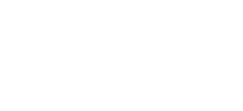polished plastering services
